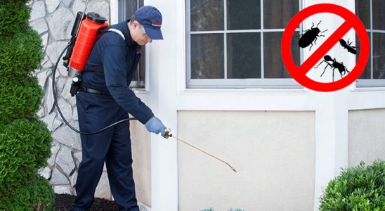 Mazıdağı Kene İlaçlama böcek ilaçlama ve haşere kontrolü — ilaclama-tr.com